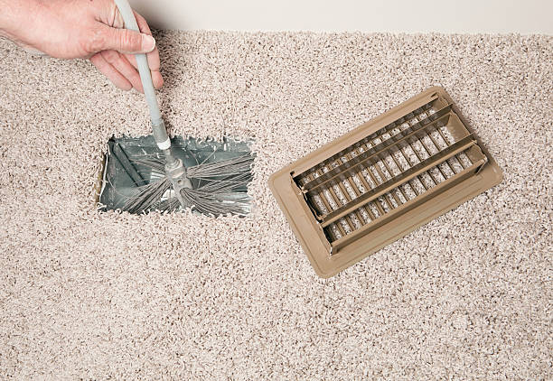 Best Air Duct Mold Removal  in Franklin, PA